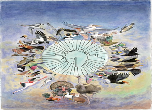 万种鸟类基因组计划（The Bird 10,000 Genomes Project, B10K）